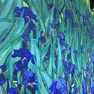 Meet your Posher, Susan